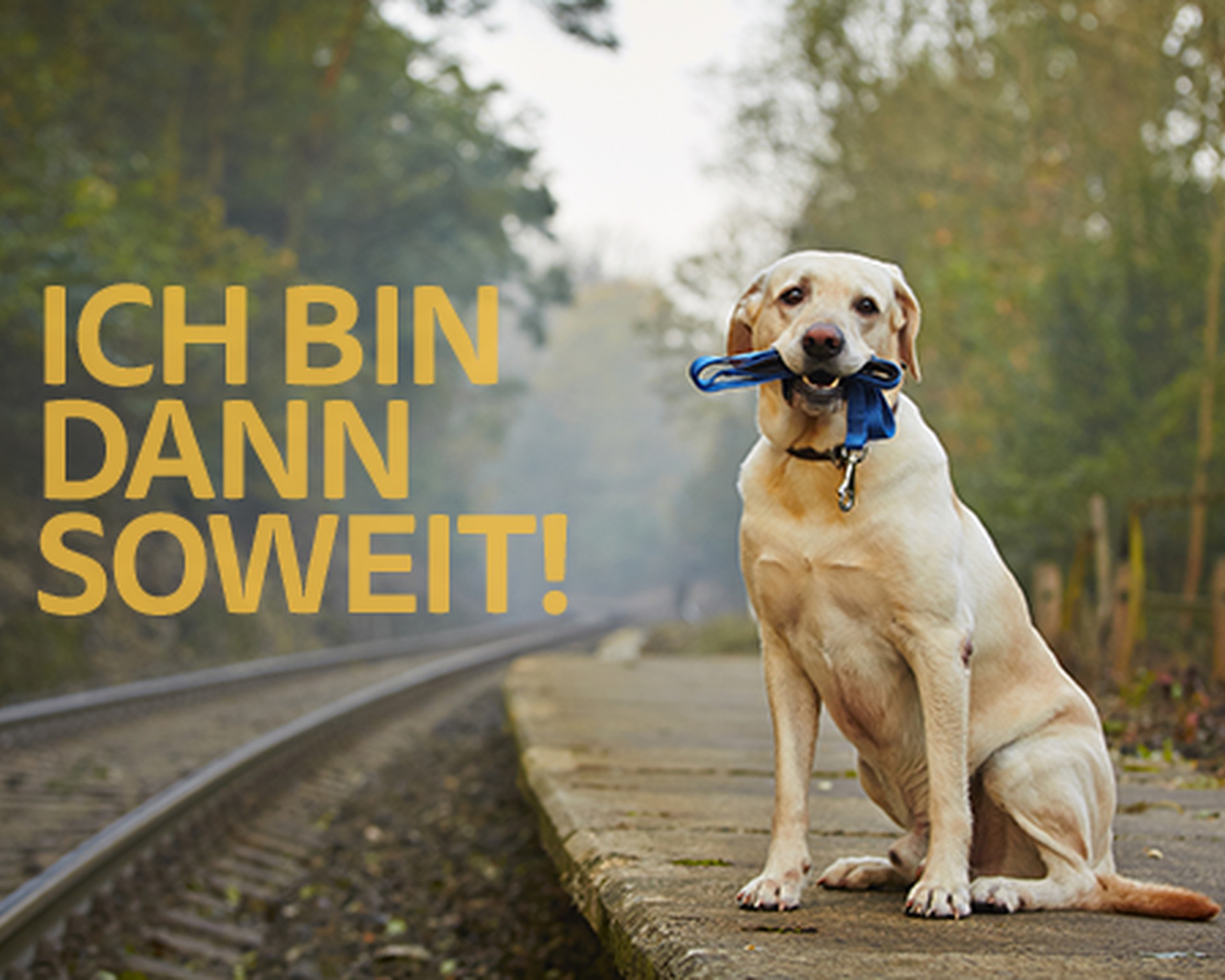 Hund-mit-Koffer.de - Ich bin dann soweit Hund-mit-Koffer.de - Ich bin dann soweit